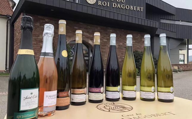 重慶進口紅酒批發市場 重慶進口紅酒批發市場