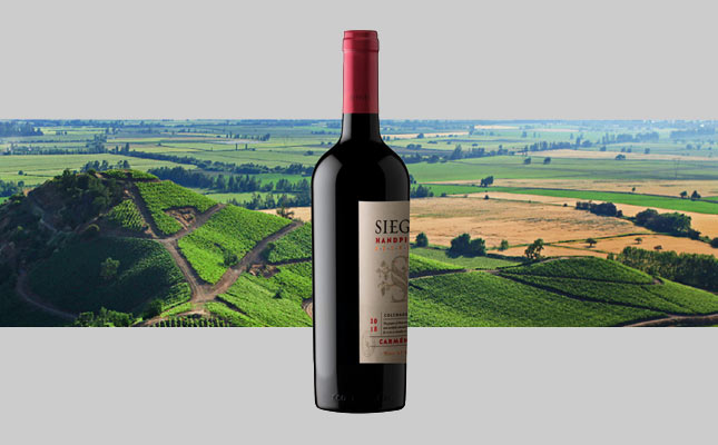 重慶紅酒批發市場 重慶紅酒批發市場