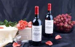 chateau紅酒是什么意思 chateau紅酒怎么樣 進口紅酒